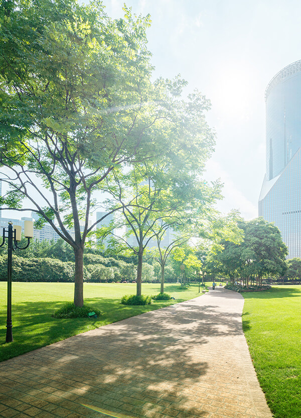beautiful-city-park-buildings equiton environmental sustainability
